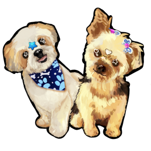 pet example